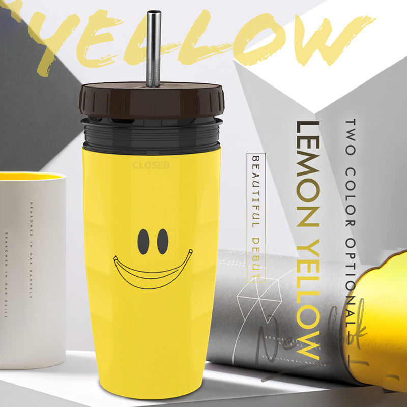 Portable Double Insulated Tumbler with Straw